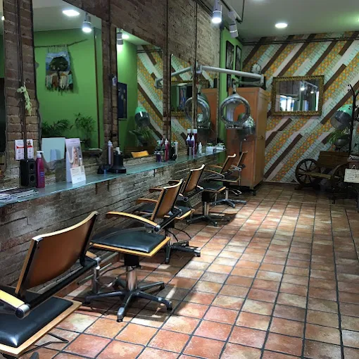 Ambiente del salón Alcázar Peluqueros